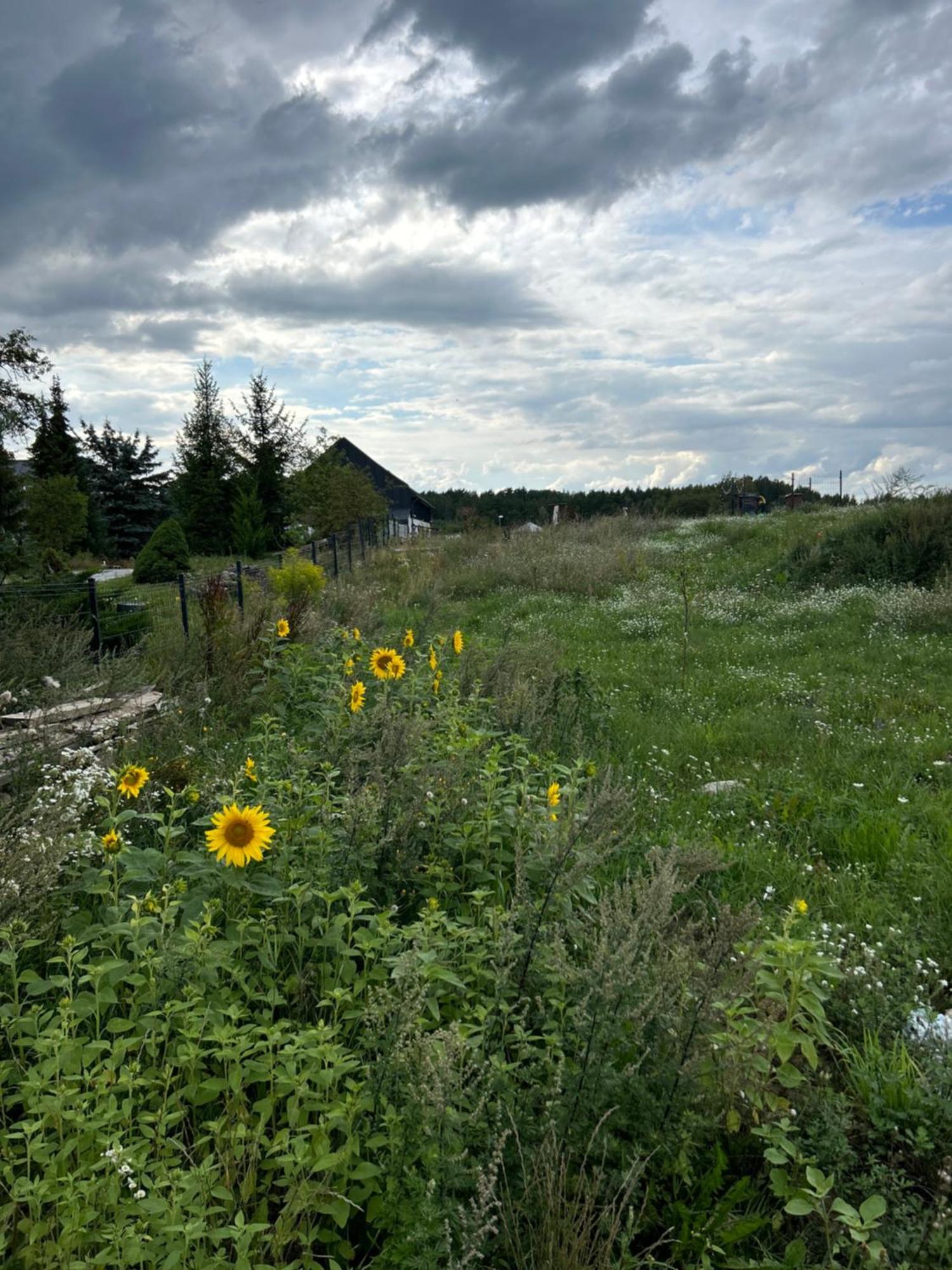 Apartamento Nowa Stodola Koniec Swiata Mikołajki Exterior foto